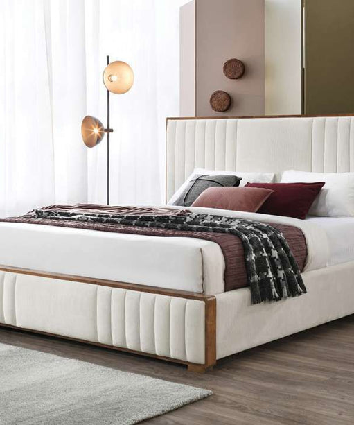 Dolphin Luxury Premium Bed